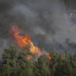 Heftige Waldbrände toben in Israel