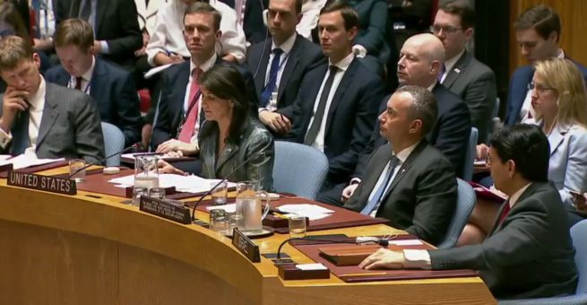 Haley beim UN-Sicherheitsrat