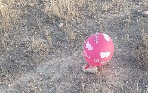 Habibi-Ballon mit Sprengsatz. 
